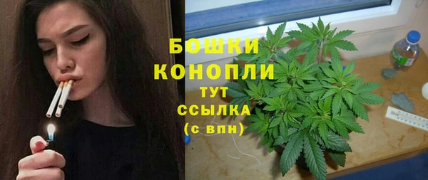 гидра Арсеньев