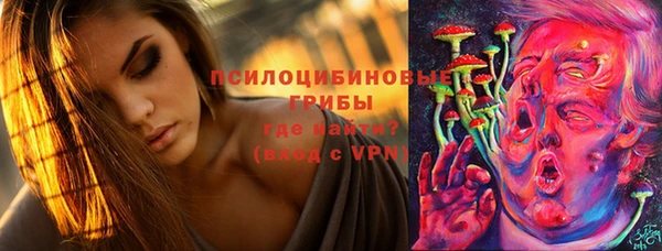 соль ск Новодвинск