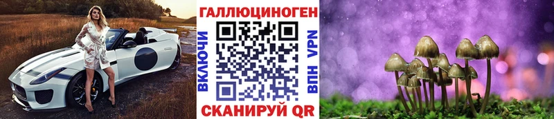 Псилоцибиновые грибы Psilocybine cubensis  где купить   Нижняя Салда 